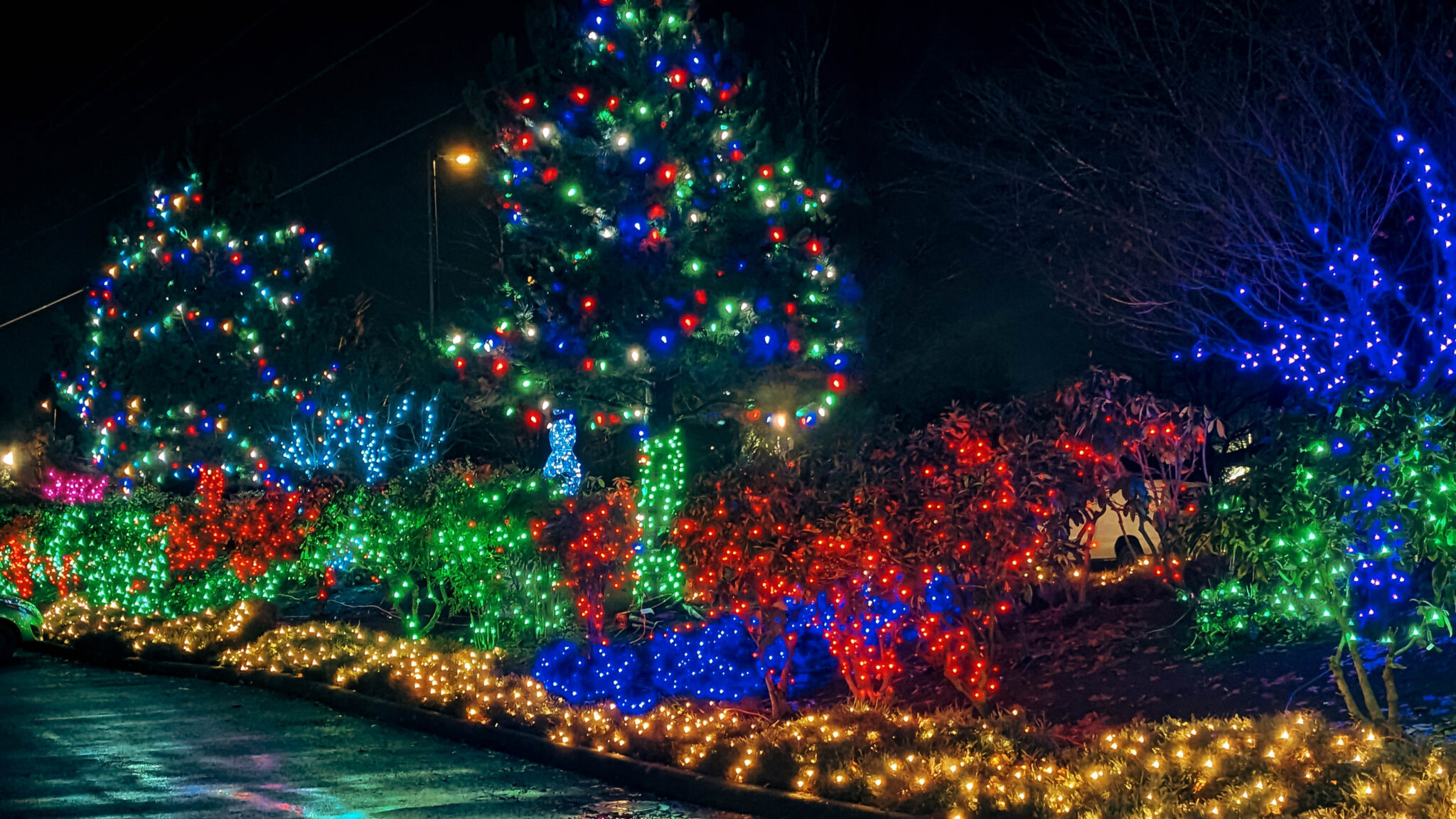 Pacific Bolt Holiday Lights Pacific Bolt Manufacturing Ltd.